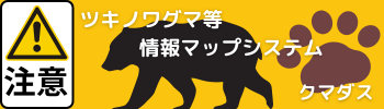 クマダス 